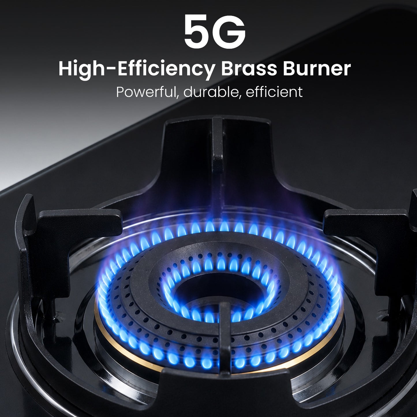 Sunshine Regal Pro 2 Burner Gas Stove Toughened Glass Cooktop Manual Ignition