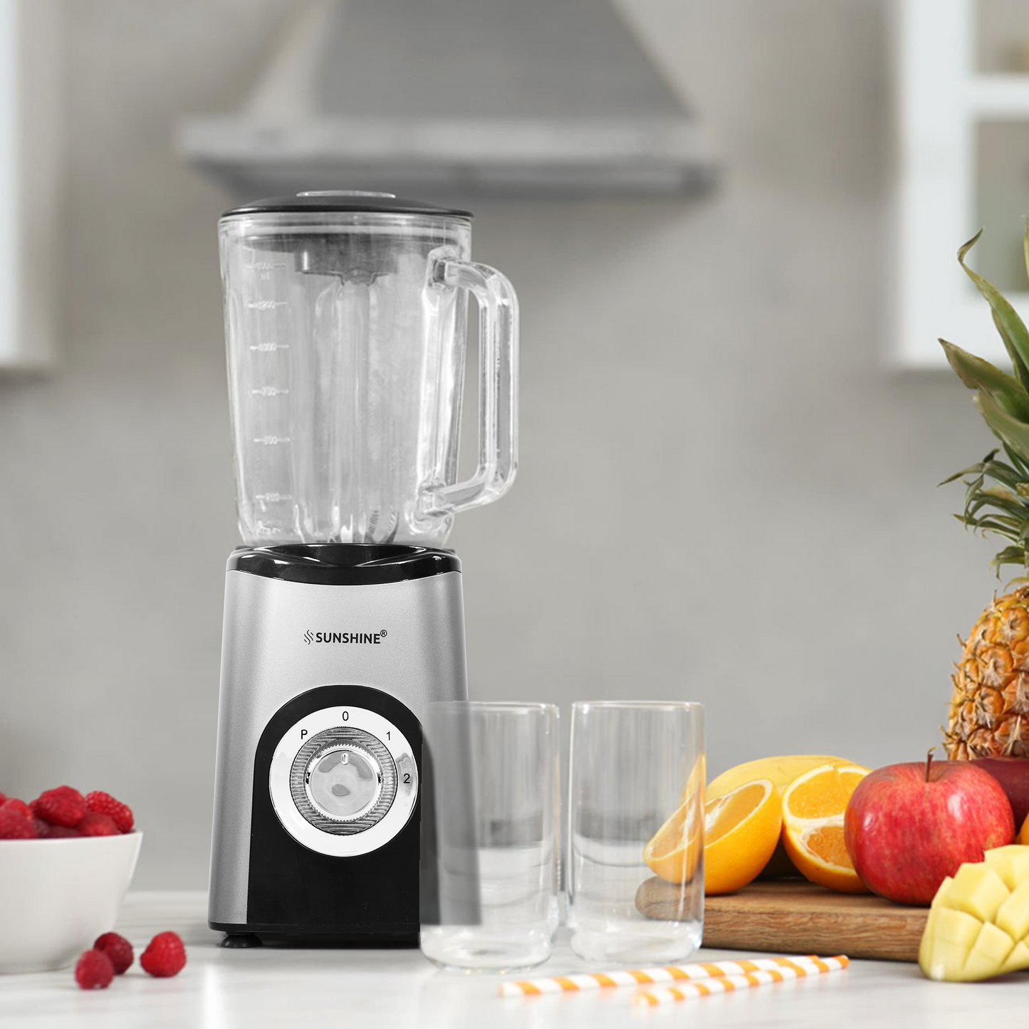 Sunshine Nutri Vita Pure 3 In 1 Nutri Blender, Powerful 500 Watts Pure Copper Motor, Blender for Shakes and Juices, Stainless Steel Body, 2 Blade Set: Wet & Dry